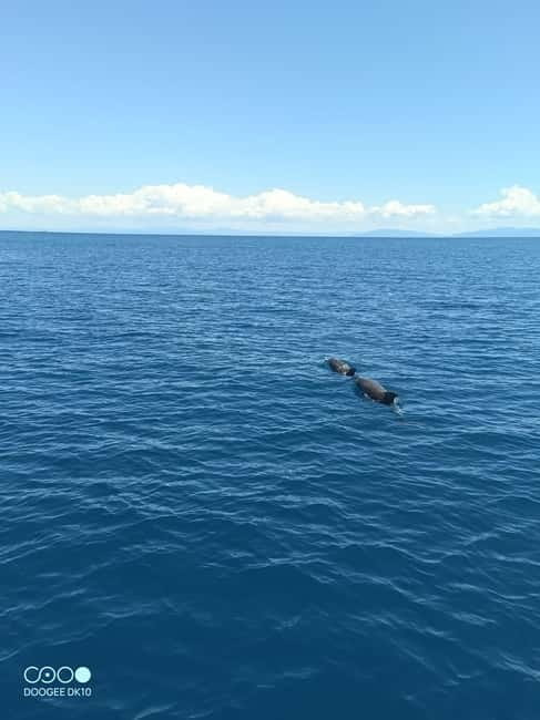 Elba Island boat trips - Setting Out: What to Expect at the Departure Point