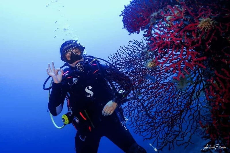 Elba Island: Double Dive with Instructor and Snacks - Who Should Skip This