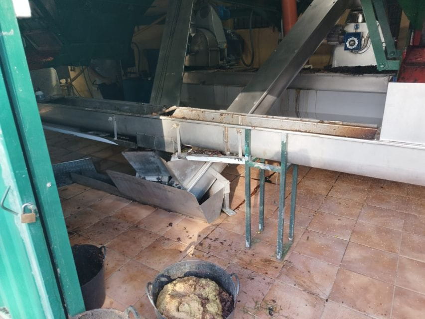 Elche: Camp DElx Route - Cultural Experiences