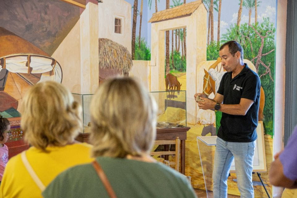 Elche: Camp DElx Route - Cancellation Policy