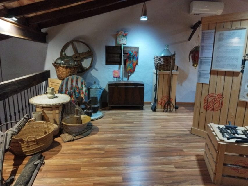 Elche: Camp DElx Route - Things To Know