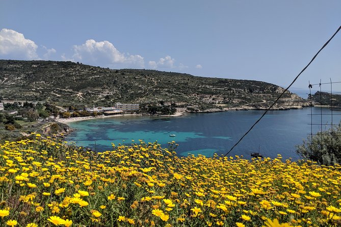 Electric Bike Naturalistic Tour in Cagliari - Admiring Poetto Beach