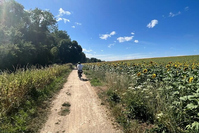 Electric bike rental in Paris - Why Rent an Electric Bike in Paris?