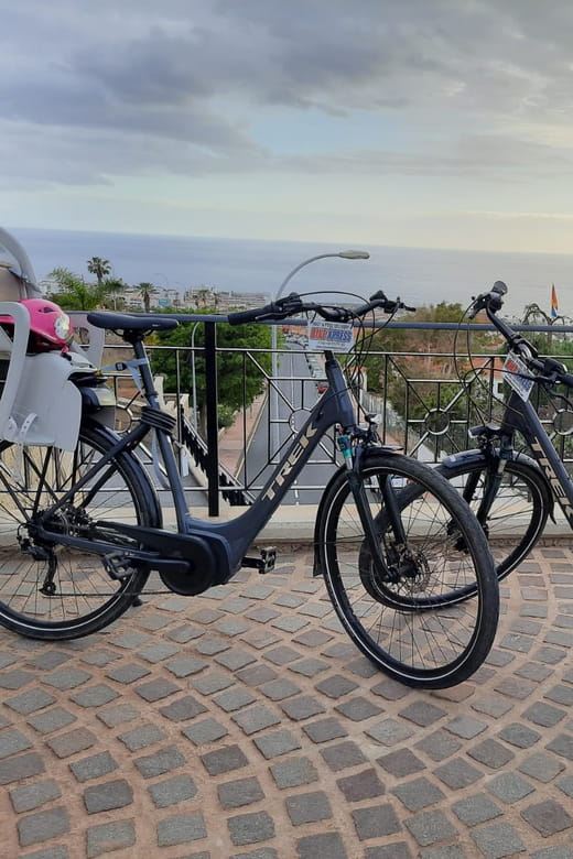 Electric City Bike Rental with Hotel Delivery - Key points / Takeaways