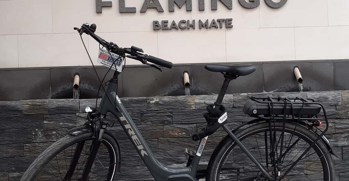 Electric City Bike Rental With Hotel Delivery - Key Points