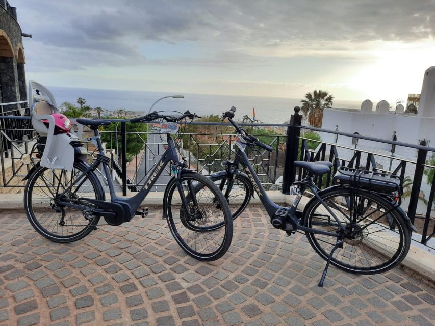 Electric City Bike Rental With Hotel Delivery - Delivery Details