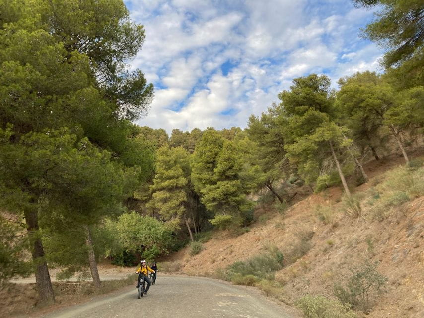 Electric FAT Biking in Montes De Malaga & Countryside - Itinerary and Highlights