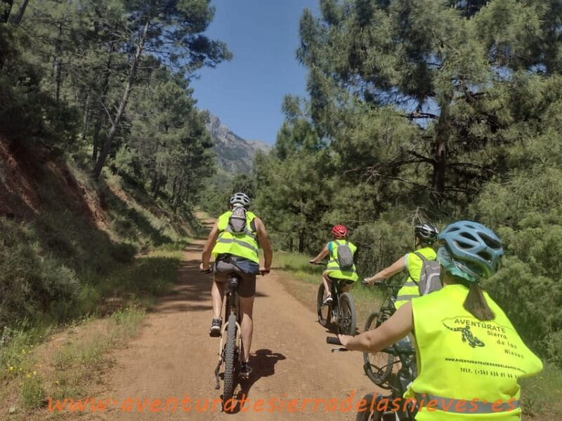 Electric mountain bike in Sierra de las Nieves national park - Final Thoughts: Is It Worth It?