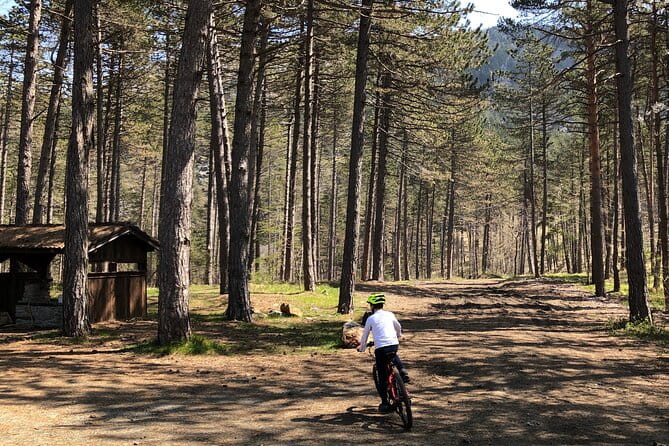 Electric Mountain Bike Rental in Bobbio - Key points / Takeaways