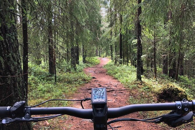 Electric Mountain Bike Rental in Oslo - Introducing the Oslo E-bike Experience: A Fun, Flexible Way to Explore