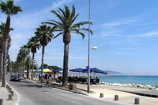 Electric Scooter Rental - FAQs