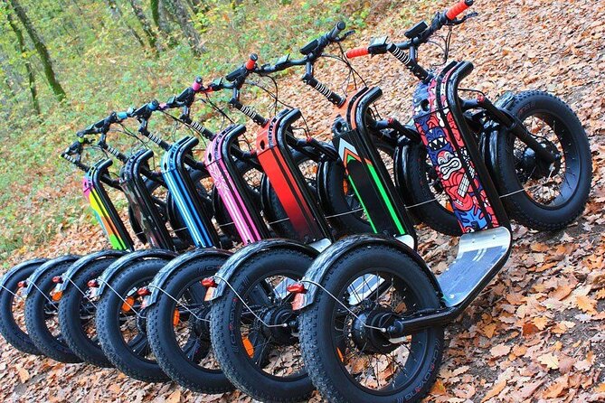 Electric Scooter Tour in Hossegor - Safety Guidelines