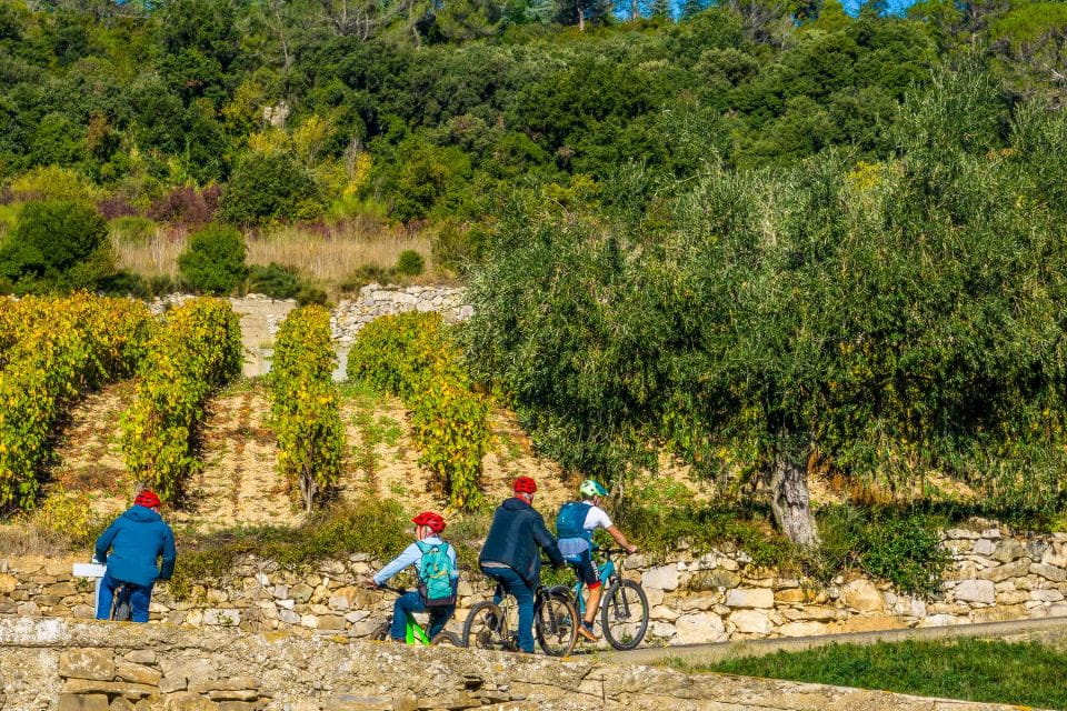 Electric VTT 3h: Hike in Nature for All Levels - Exploring Minerve