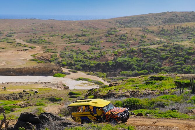 Elite Jeep Safari With Lunch, Beer, and Open Bar - Key Points