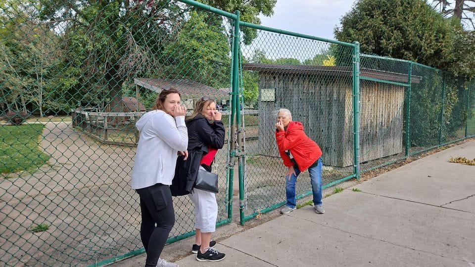 Ellijay Scavenger Hunt - Pricing and Booking Details