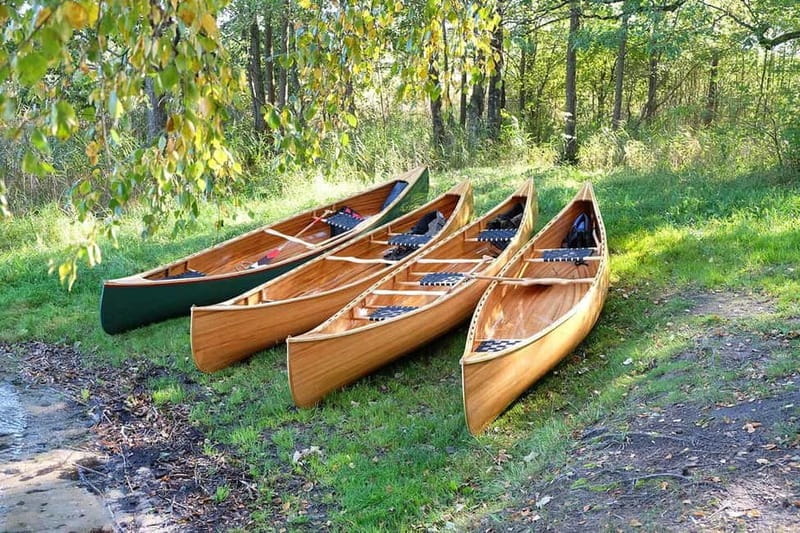 emaitija National Park: Full-Day Canoe Tour with Picnic - Practical Details and Tips