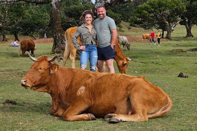 Set out on a Luxurious Private Journey: Unveiling the Madeira Best - Final Thoughts