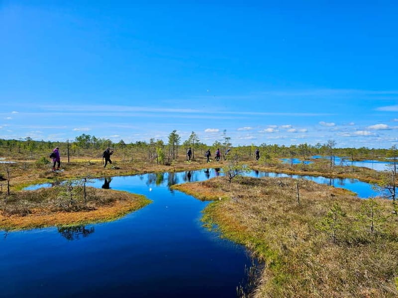 emeri Bogs Adventure: Explore Wetlands In Bog Shoes - Setting the Scene: Why Try Bog Shoeing in Latvia?