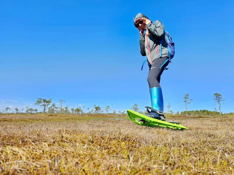 emeri Bogs Adventure: Explore Wetlands In Bog Shoes - How the Tour Is Structured