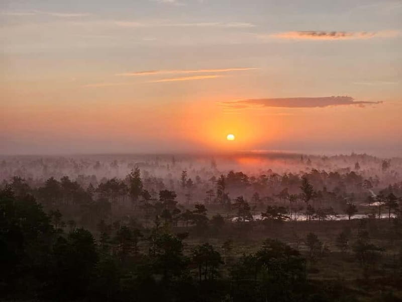 emeri Great Bog With Optional Sunrise & Jrmala Visit - Practical Details: What to Expect