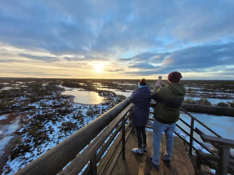 emeri Great Bog With Optional Sunrise & Jrmala Visit - Price and Logistics Analysis