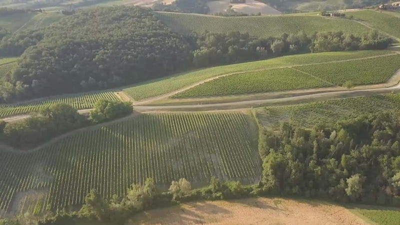 Emilia-Romagna: Parmigiano Reggiano, Dallara, and Wine Tour - Final thoughts