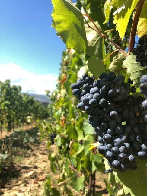 Emilia-Romagna: Parmigiano Reggiano, Dallara, and Wine Tour - FAQ