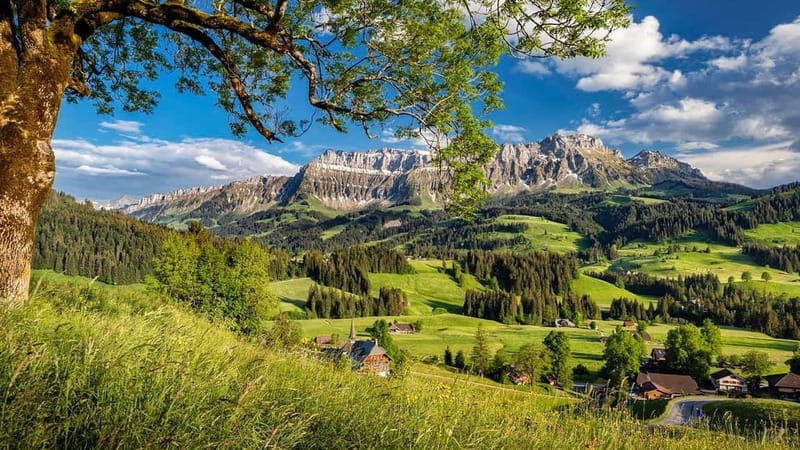 Emmentaler Journey from Zurich:Tour & Cheese Making Workshop - Exploring Emmental — Foot or E-bike