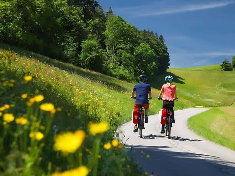 Emmentaler Journey from Zurich:Tour & Cheese Making Workshop - Who Will Love This Tour?