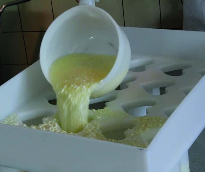 Emmentaler Journey from Zurich:Tour & Cheese Making Workshop - Final Thoughts