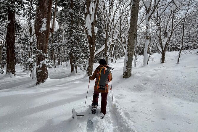 EN/CN Guided Snowshoeing and Snow Monkey Tour in Nagano - Key Points