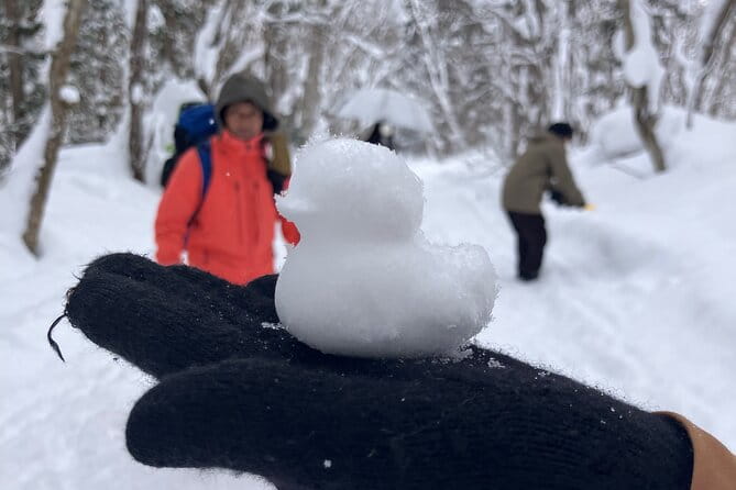 EN/CN Guided Snowshoeing and Snow Monkey Tour in Nagano - Booking Information