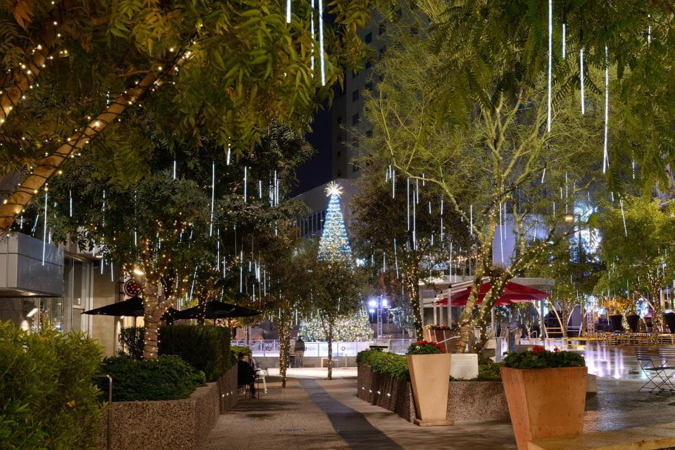 Enchanted Holiday Walk: Phoenix's Festive Delight - Highlights of the Walk