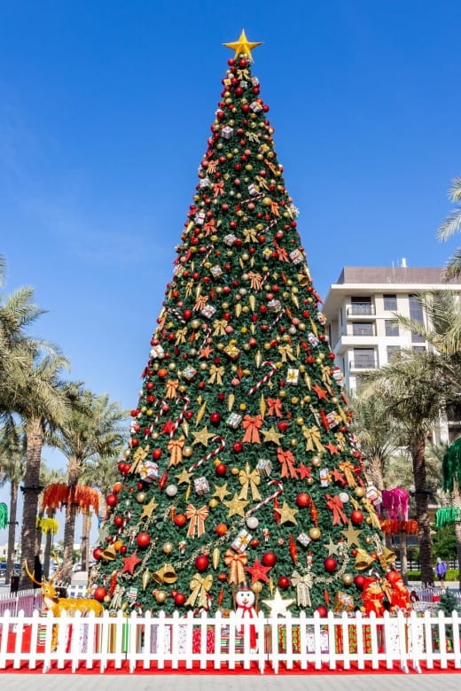 Enchanted Holiday Walk: Phoenix's Festive Delight - Getting to the Starting Point