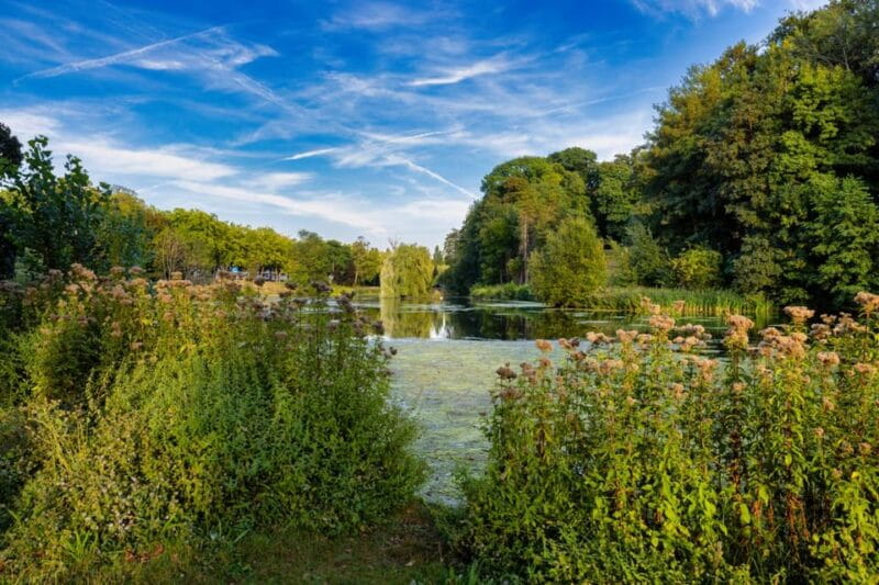 Enchanting Brussels Tour: History & Culture Unveiled - The Sum Up