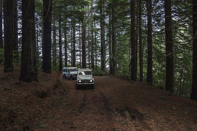 Enchanting North - Full Day- Shared Tour - An In-Depth Look at the Experience