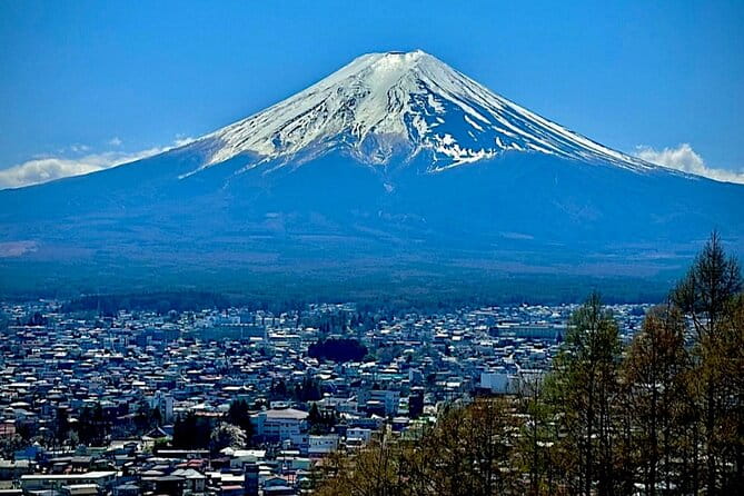 English Guided Mt. Fuji and Lake Kawaguchi Group Tour - Pricing and Cancellation