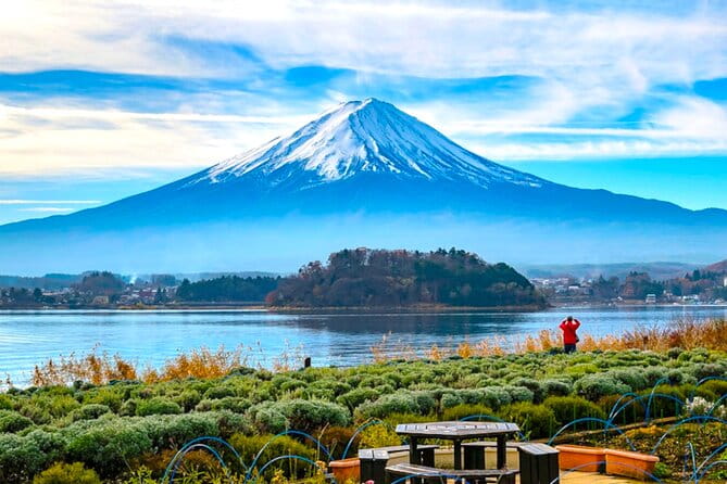 English Guided Mt. Fuji and Lake Kawaguchi Group Tour - Highlights of the Tour