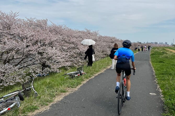 English/Italian Guided Cycling Tour in Tokyo(With a Rental Bike) - Health and Safety Guidelines