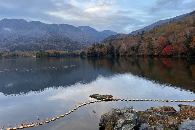 English-Speaking Guided Day Tour of Nikko With a Private Vehicle - Pricing and Group Size