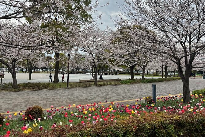 English-Speaking Guided Day Tour of Tokyo With a Private Vehicle - Accessibility and Participation