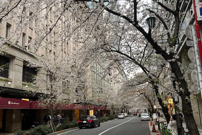 English-Speaking Guided Day Tour of Tokyo With a Private Vehicle - Booking and Cancellation Policy