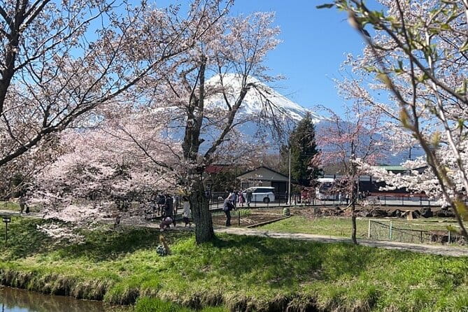English-speaking Guided Tour:Mount Fuji & Hakone, Private Vehicle - Key Points