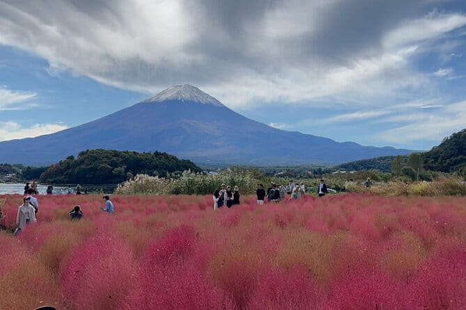 English-speaking Guided Tour:Mount Fuji & Hakone, Private Vehicle - Cancellation Policy
