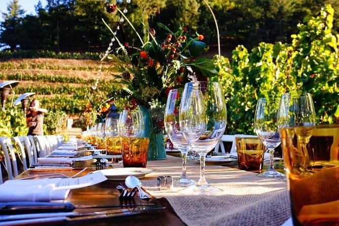 Enjoy a meal with wine tasting in the vineyard of Podere Casanova - A Taste of Tuscany: Wine, Food, and Views at Podere Casanova