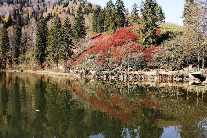 Enjoy Black Sea Boutique Tour - FAQ