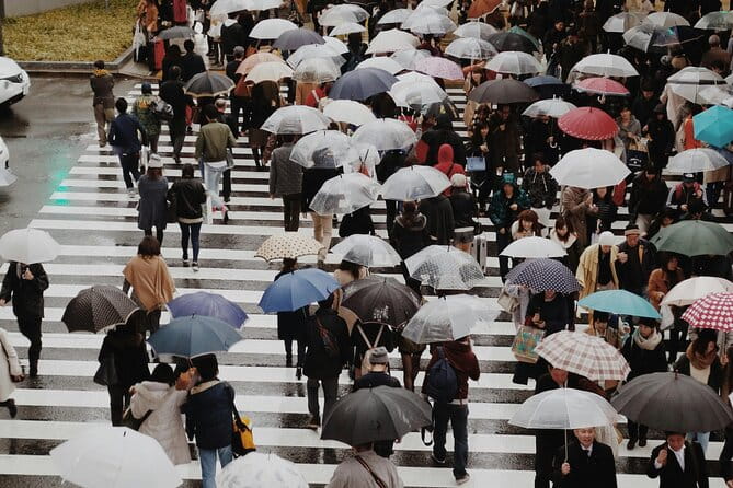 Enjoy Hot Spring Bath / Onsen and Sakura / Cherry Blossom View - Frequently Asked Questions