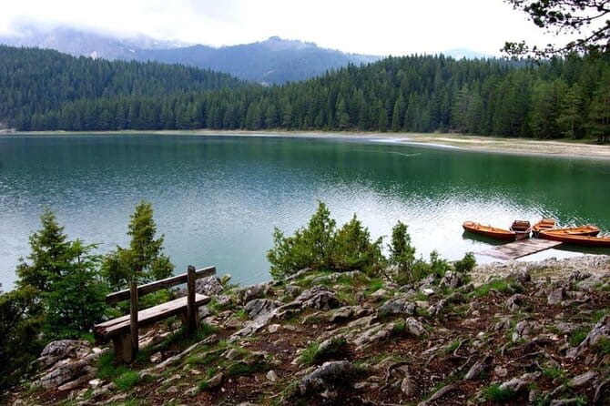 Enjoy Private Transfers by Car or Van from Tivat Airport to Kotor or Budva - Who Will Love This Service?