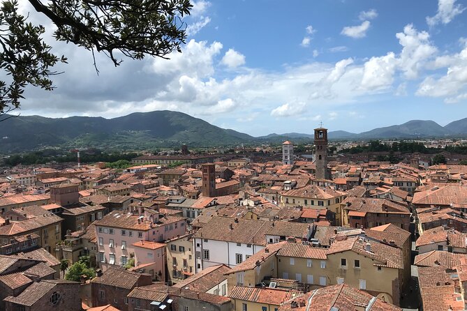 Enjoyable Music Tour of the Historical City of Lucca - Practical Information