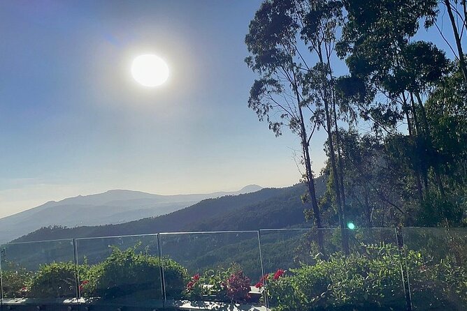 Entoto Mountain From Addis Ababa - Accessibility and Participation